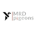 MRD Pigeons logo