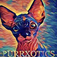 Purrxotics logo
