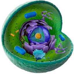 Biology Education - Tuition In A-Level Biology logo