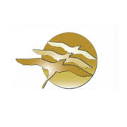 newspiritvacationhomes.com logo