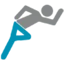 The Online Physiotherapist logo