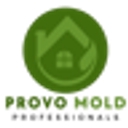 Mold Remediation Provo UT Solutions logo