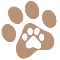 Petzmotion logo