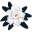 Leonardslee Lakes and Gardens logo