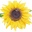Botanical Interests logo