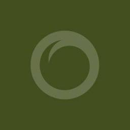 The Oracle Group logo