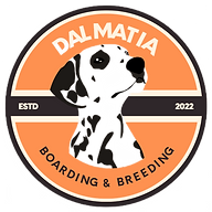 Dalmatiabnb logo