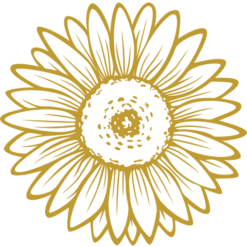 Seyora Desi Jewels logo