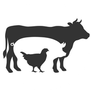 Bromfields Butchers logo