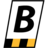 Bronson Safety logo